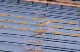 100 Breast-Japan Lane 2